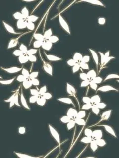 深夜猫様✦確認用