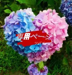 さみ@プロフ一読希望様 リクエスト 2点 まとめ商品