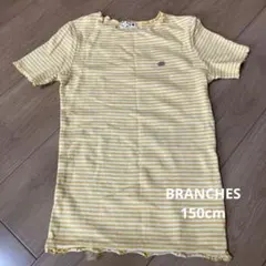 Item thumbnail for item 94099ce2-81e4-4d48-9070-380c63c34e1e