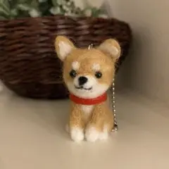✦チョコタンチワワちゃん羊毛フェルトHandmade♪新品 - メルカリ