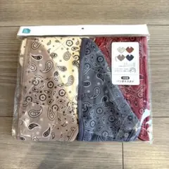 未開封 バンダナスタイ 4枚セット スタイ