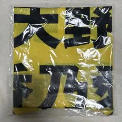 ニアジョイ 天野香乃愛 ビブス ビッグサイズ 天野香乃愛 2024年 ニアジョイ ビブス ビッグサイズ M10947225