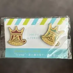 嵐　ライブグッズ　ピンバッジのサムネイル