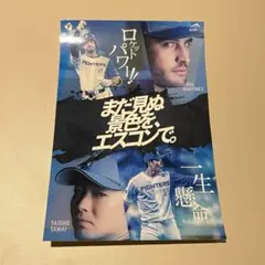 北海道日本ハムファイターズ ステッカー アリエル・マルティネス 玉井大翔