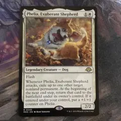 溌剌の牧羊犬、フィリア