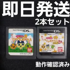 【匿名発送】 たまごっち DS ソフトのみ 2本セット