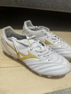 Mizuno Monarcida Neo2 幅4E
