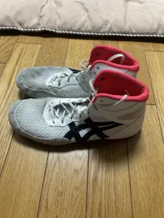 Item thumbnail for item af466ca9-cc26-4d9c-b014-0a5fde08d600