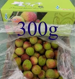시원한 배송 호환 생 리치 그린 리치 프린세스 lol 300g