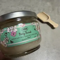 Item thumbnail for item 34e38776-a1b1-4e60-a228-d9b278dea5b0