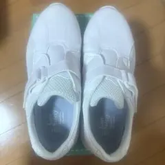 Item thumbnail for item 1f99729a-b13c-4bcd-86e9-1d1365c7e583