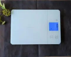 Item thumbnail for item 3c0cf766-abf9-4315-9184-5fd5e52ed628