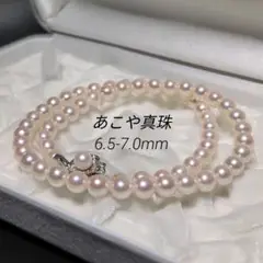本真珠 あこや