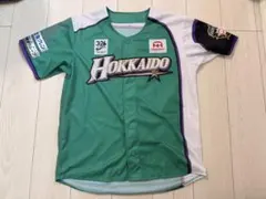 北海道日本ハムファイターズ 稲葉篤紀 ユニフォーム 41 - メルカリ