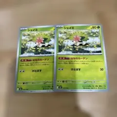 ポケカ MEGAドリーム シェイミ 2枚セット
