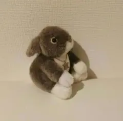 CELINE ベージュ ぬいぐるみ 約30cm CELINE - CELINE セリーヌ ぬいぐるみ 人形 くま ベアー ストラップ
