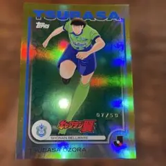 新品】長崎ヴェルカ VELCA 25-26シーズン 優勝記念 アートボード
