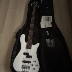 2026年最新】WARWICK STREAMER LXの人気アイテム - メルカリ