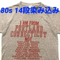 80s チャンピオン トリコタグ ビンテージ Tシャツ 14段染み込み USA製