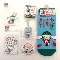 【匿名配送】充電させてもらえませんか？　シナモロール　５点セット　サンリオ