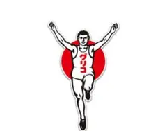 トイストーリー様 リクエスト 2点 まとめ商品