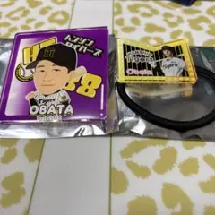 Item thumbnail for item f28b346c-5df3-431e-b6de-25272c4a51d0