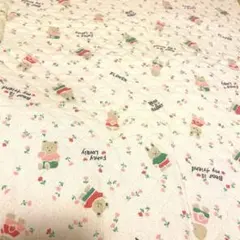 Item thumbnail for item ac95d211-d1ef-4305-86e3-f7799f1bc0b3