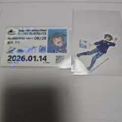 青ブタ×八景島シーパラダイス プレミアムパス風カード 姫路紗良 入場