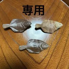 Item thumbnail for item 11180785-f731-4499-b247-88c9fb767088