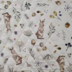 デコレクションズ