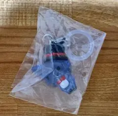 ジェオチャムめじるしアクセサリー　レイン