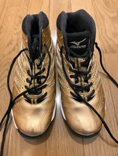 MIZUNO 24.5cm