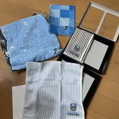 Item thumbnail for item 39c01034-8ca7-4fc2-be4d-7425b2725d89