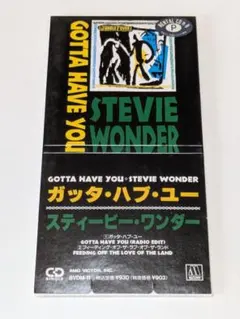 スティーヴィー・ワンダー/ガッタ・ハブ・ユー