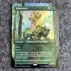 【foil】忍耐 Endurance （英）ボーダーレス mtg MH2 ミントモール / MINT GAMES MTG(東日本橋) / 【MH2】【ENG