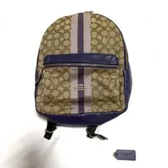 Item thumbnail for item d0e3ca5f-72b8-47a3-9569-9e7abd8f197a