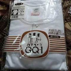 Item thumbnail for item 5aa373de-7e64-4d22-a74c-8c2d655b2d79