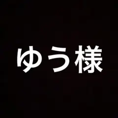 エリート　マグネットランナー12組　ランナー260個