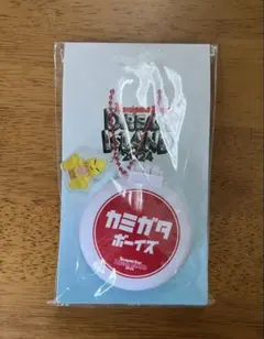 ☆TWICE☆ONCE 6th Anniversary 缶バッチミラー☆ - メルカリ
