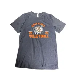 プリントTシャツ　スポーツ系　半袖　L 古着 8S3