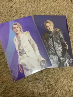 川島如恵留 虎者 ステフォ