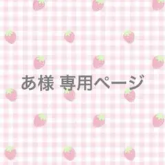 専用ページ