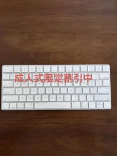 Apple 薄型英語配列ワイアレスキーボード 本体　充電式