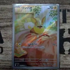 ブラックシュガー310様 リクエスト 3点 まとめ商品