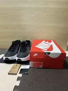 【極美品】NIKE エア マックス DN DV3337-003 /メンズ29.0