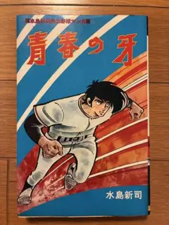 徳永善也(チェッカーズ) 心の旅 素顔Ⅱ VHS - メルカリ