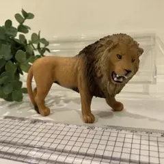 （中古）ライオン　フィギュア　リアル　シュライヒ　雄ライオン