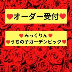 カラフルエアファーン　オーダーページ　花材　(2026) カラフルエアファーン オーダーページ 花材 (2026) - メルカリ