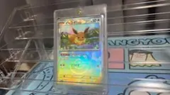 ポケモンカード イーブイのサムネイル