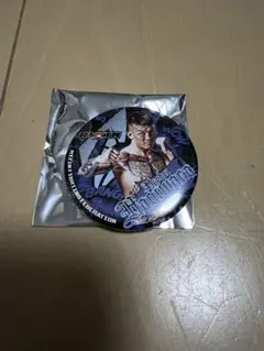 Item thumbnail for item f8c02ce2-cf95-4b04-945a-4cd695094513